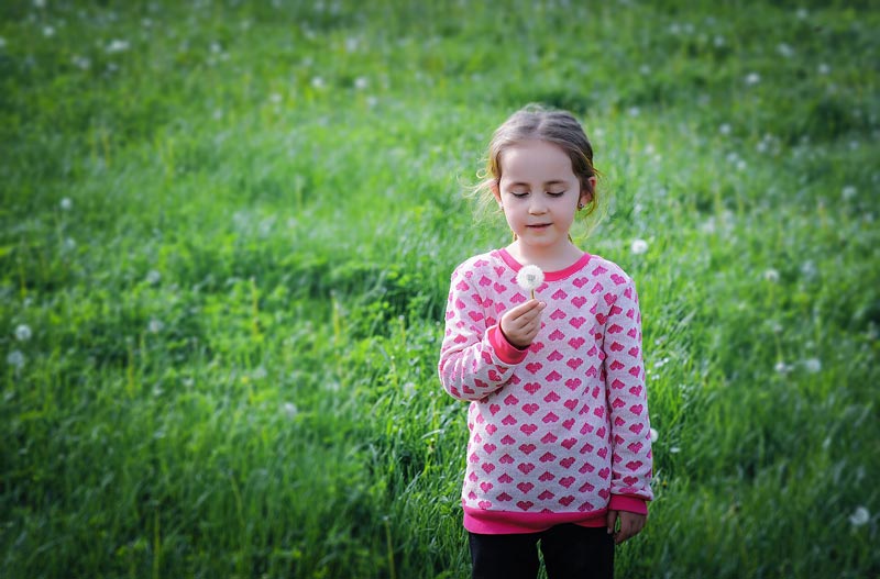 Girl with a dandelion clock